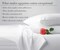 Luxury 100% Egyptian Cotton Pillow Cases Standard Size Set of 2, Sateen Weave, Soft, Breathable & Cooling Ivory Pillow Cases